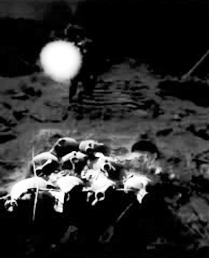 水下考古有许多意外发现