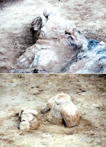 6月10日拍摄的秦兵马俑一号坑部分试挖出的陶俑 新华社图片