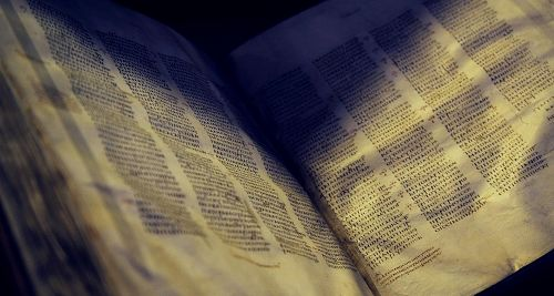 “西奈山抄本”网络版使用的是该抄本页面的高分辨率数码照片。