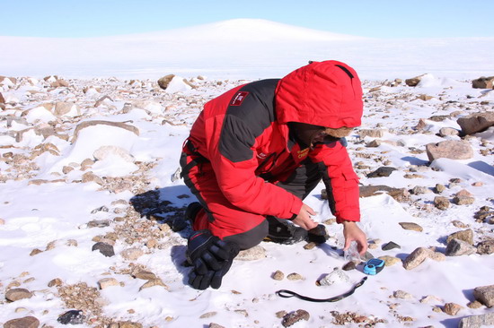 12月30日，中国第26次南极考察格罗夫山队队员将一块陨石装入塑封袋中保存。