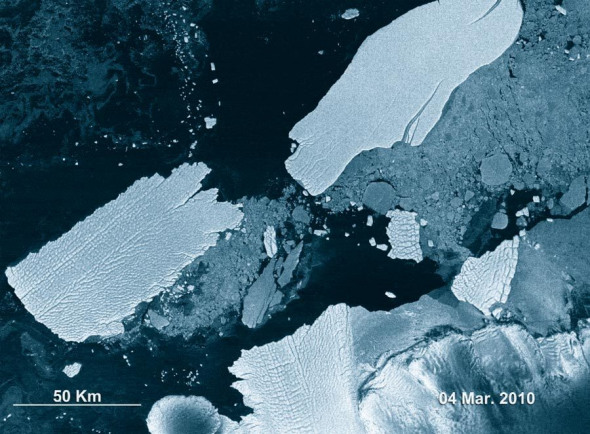 2010年3月4日拍到的图片 