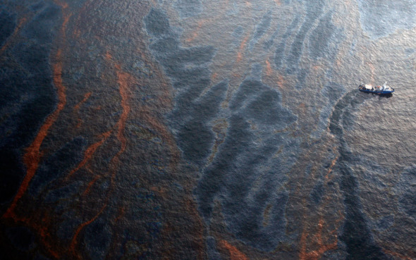科学家开发纳米涂层海绵能在低温条件下吸附泄露石油,吸油率高达99% 1 科学家开发一种纳米海绵能在低温条件下吸附泄露石油,吸油率高达99%