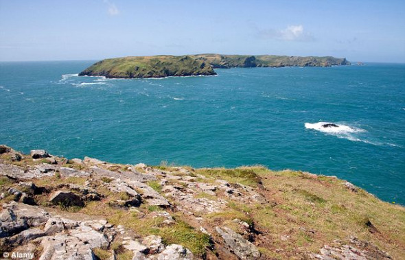 这里是西威尔士近海水域，是潜水人员拍到这些令人震惊的照片的地方。