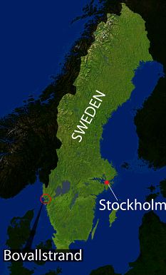 这条大鲱鱼是在瑞典西海岸博瓦尔斯特德渔村发现的。