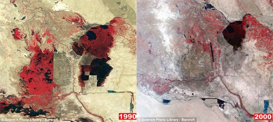 左：1990年拍摄的卫星照片显示里格里斯河和幼发拉底河周边湿地（暗红色），灰色地区为抽干水的地区。右：2000年拍摄的卫星照片显示，水量已大幅减少，河流里的水被用来灌溉农田。