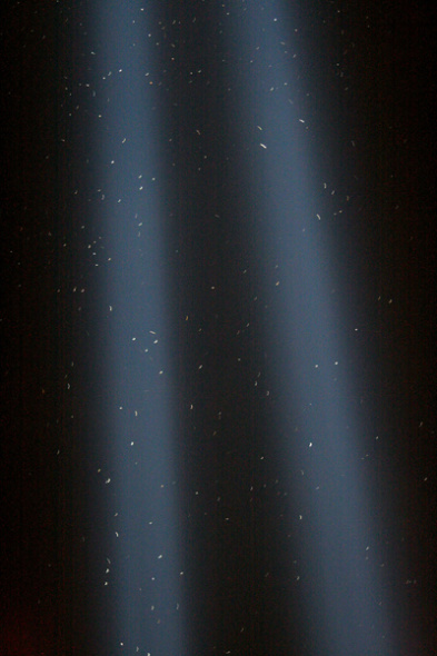 光柱中迷失方向的鸟群。