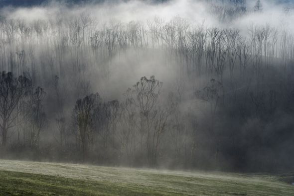 六月：维多利亚晨雾