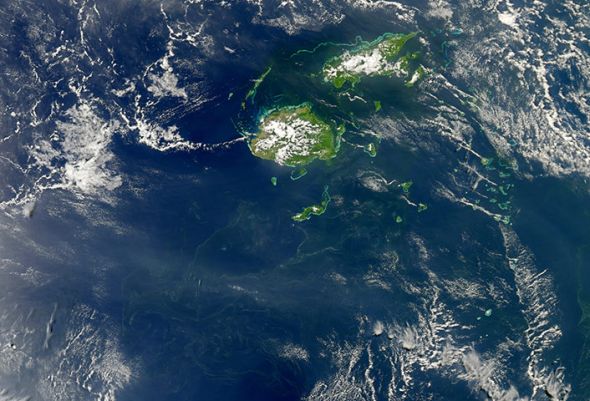 斐济浮游生物大爆发