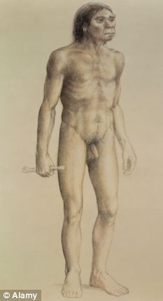 丹尼索瓦人外形上与100多万年前灭绝的直立人类似