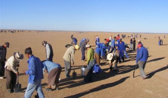 努力工作：去年11月份，当地志愿者们开始冒着烈日清理将要用于测试的赛车跑道。