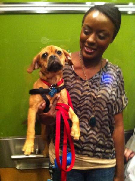 亚马逊员工和她的宠物