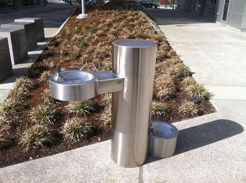 一高一低，低的那个是供宠物喝水的