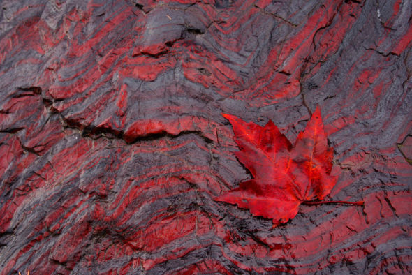 条带状含铁建造