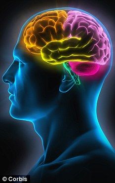 研究人员已经发现在语言形成过程中大脑发出的信号，也许这能帮助科学家把思想翻译成语言。