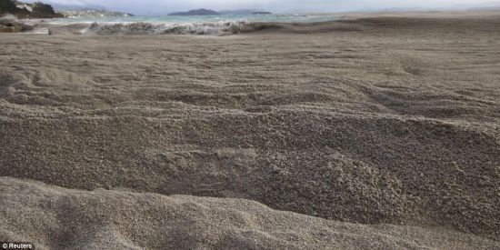 　　智利著名旅游胜地纳韦尔瓦皮湖，目前它已经被近半个世纪来首次爆发的普耶威火山产生的火山灰填满