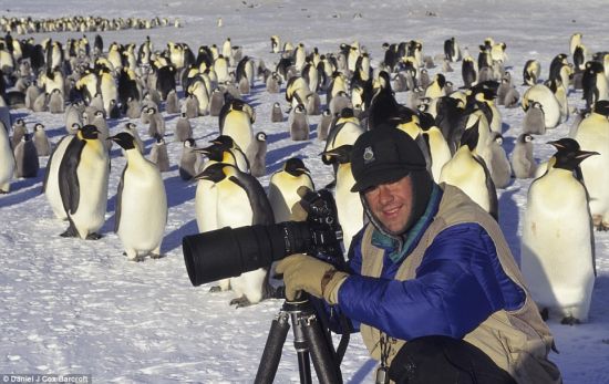 在南极，丹尼尔·考克斯手持相机站在一群企鹅中间。