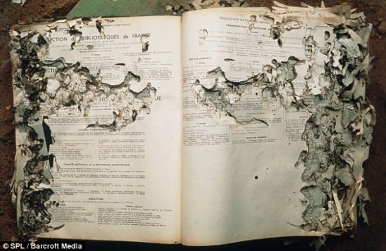 一本被白蚁啃噬的法语书。这种昆虫以木头和纸张为食，能够对房屋和家居造成巨大破坏