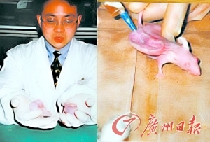 2001年丁小邦在曹谊林指导下构建的人耳模型。 