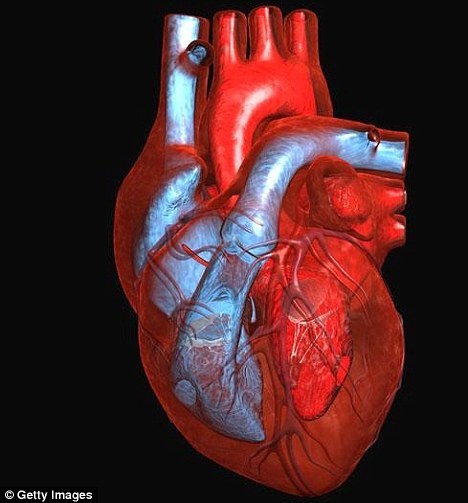　　科学家们已经成功在实验室培植膀胱，尿道和气管组织并在临床实验中移植给病患。现在，他们开始把目光转向实验室培育更复杂组织器官的可能性。
