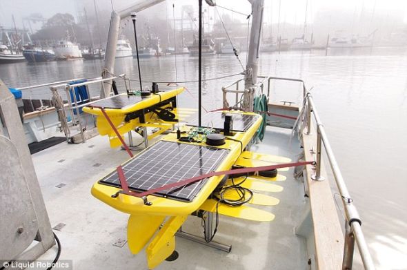 从这张照片里可以看到波浪滑翔机的太阳能电池