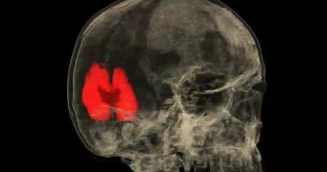 在未达到性高潮时，只有少数大脑区域处于活跃状态，而后随着性高潮的到来扩散到80多个大脑区域