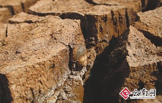 禄劝旱情严重 记者 刘筱庆 摄