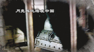 2010年2月8日，吉林榆树青山乡的熊被戴着铁马甲。