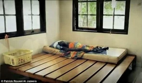 临时的家：格林无助地躺在印度尼西亚加里曼丹岛营救中心的床垫上，几天后死去。