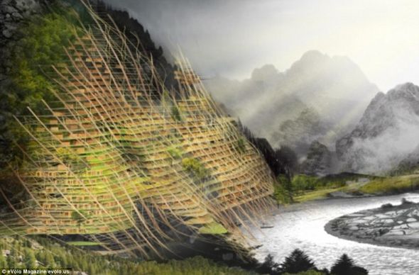 第二名：山区创可贴项目的目的是在让中国的苗族人恢复云南山区的生态环境