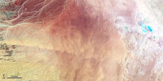 摄于1987年2月5日