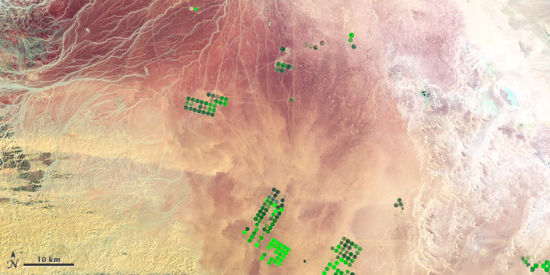 摄于1991年2月24日