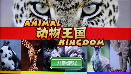 动物王国