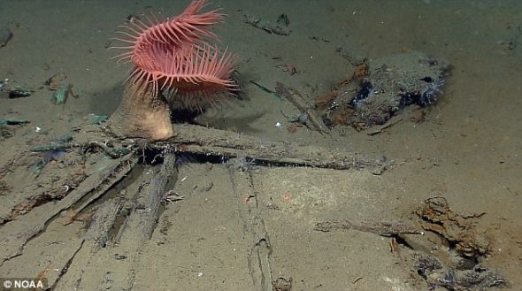 　　未受外界影响：在船体中发现的这些人工制品在密西西比河中沉寂了很久，其中一大部分是从这条河厚厚的沉积物中找到的。