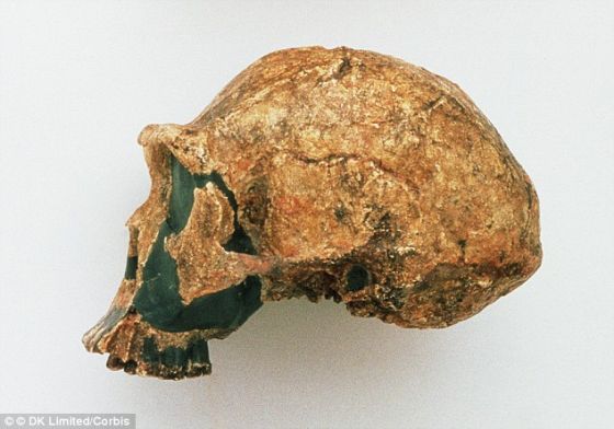 　　通过对中国北京周口店的洞穴进行重新挖掘，科学家发现了一系列细节，证明北京猿人远比我们过去认为的先进