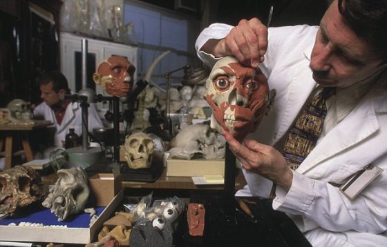 美国自然历史博物馆的科学家正将“肌肉”添加到北京猿人面部模型上