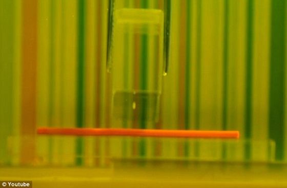 这个盒子是用两片粘在一起的方解石制成，这是一种能够弯曲光线的常见矿物质