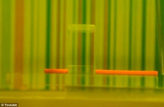 在这里进行演示的张柏乐的装置并不是第一个隐身衣，但它可能是第一个“出于好玩”研制的