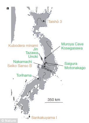 研究人员对从日本各地搜集到的各种各样的陶器进行研究