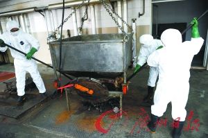 动物尸体处理者常年穿着严密的防护服工作