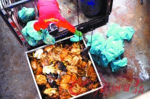 禽畜尸体每天最大处理量达30吨