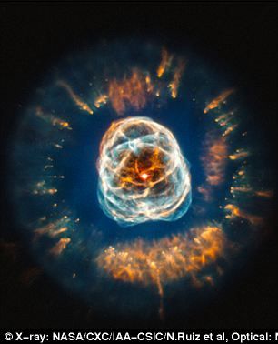 照片在可见光波长条件下拍摄