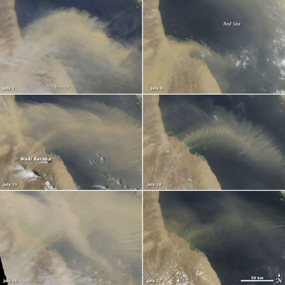 这组卫星照显示了红海上空持续了一个月的沙尘暴