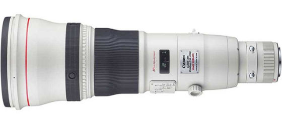 NO.6 佳能EF 800mm f/5.6L IS II USM