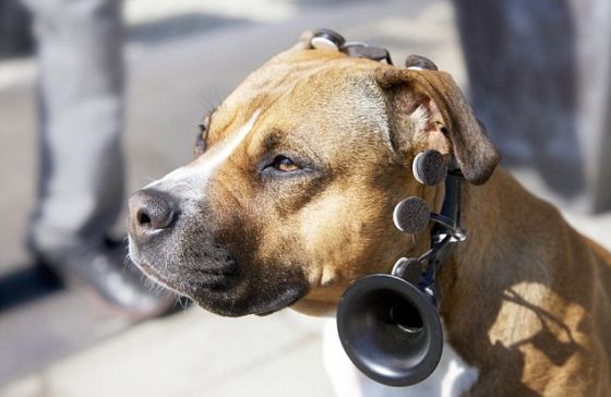 开发人员埃里克-卡尔德隆说：“它看似复杂，其实不然。”