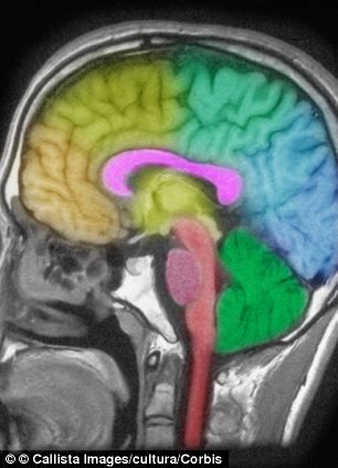 失眠对大脑造成的伤害类似于头部外伤产生的影响，它使大脑内和脑损伤有关的化学物质剧增。