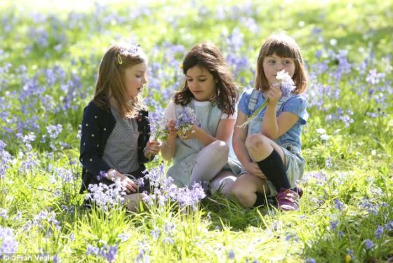 研究表明，当新的神经元融入海马体时，它们也影响现有的记忆。