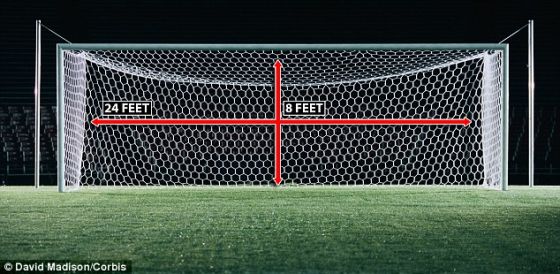 　　除了生物学因素外，球门的大小也会影响守门员的成功扑救几率。足球比赛的球门宽24英尺（约合7.3米），高8英尺（约合2.4米），面积达到192平方英尺（约合17.9平方米），超过一个货运集装箱。守门员覆盖整个球门的难度我们可想而知。巨大的球门外加可用时间很短，导致守门员做出成功扑救的几率极低。