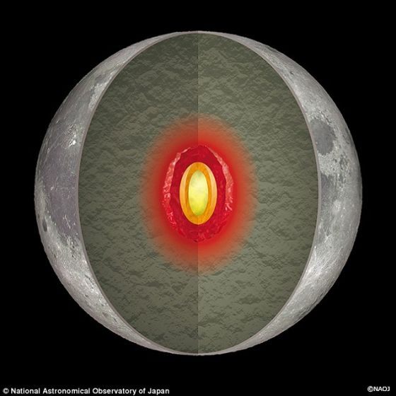 研究人员发现了能够证明月球部分仍处于液态的证据。研究人员表示地球的引力影响让月核周围形成一个液层。通过比较日本宇宙航空研究开发机构的月球学与工程探测器以及其他探测器获取的月球扭曲数据与理论计算得出的结果，科学家得出这一发现。