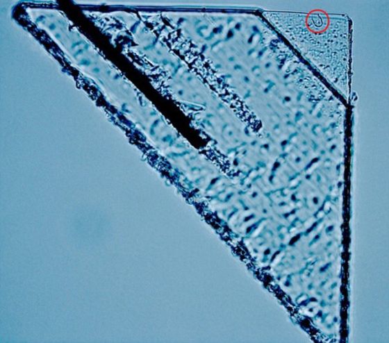 　　在“星尘”号飞船收集器上发现尺寸最大的星际尘埃痕迹，一个长35微米的洞，由一粒微小的宇宙尘埃在高速飞行时撞击形成。