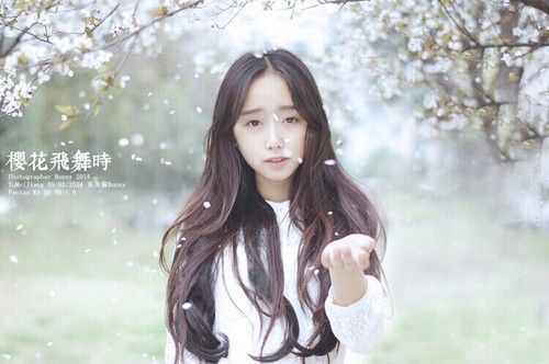 樱花飞舞时